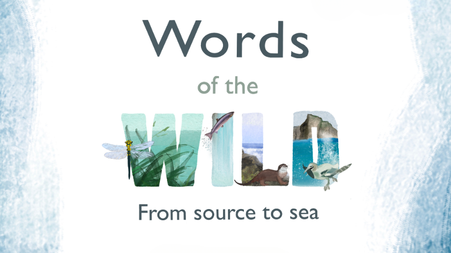Words of the Wild, written on a visual graphic including sea visuals, writing competition